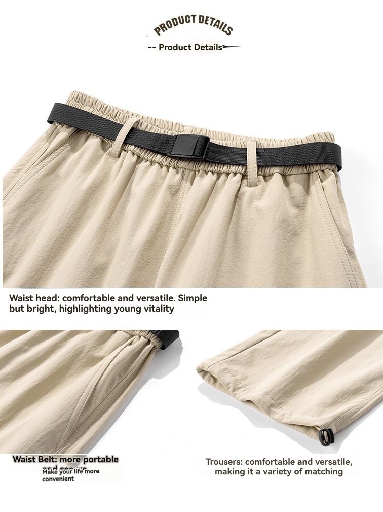 Bottoms |  Womens Mid Rise Solid Pocket Bermuda Shorts With Belt Bottoms Beige